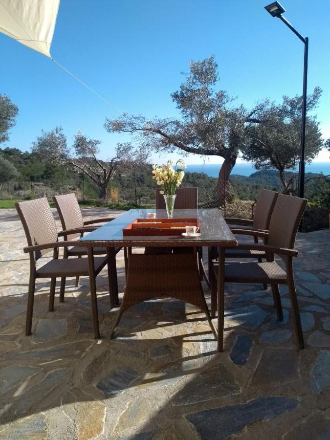 Asklipiion Cullura Apartment מראה חיצוני תמונה